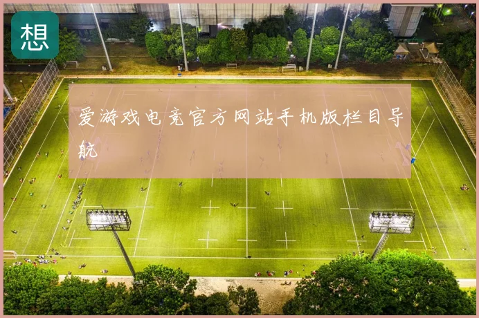 爱游戏电竞官方网站手机版栏目导航