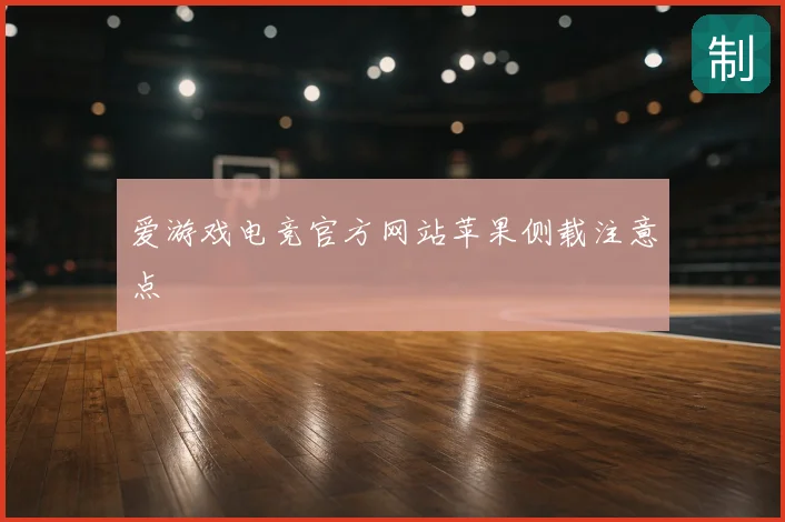爱游戏电竞官方网站苹果侧载注意点